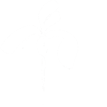 Mai Flower Films